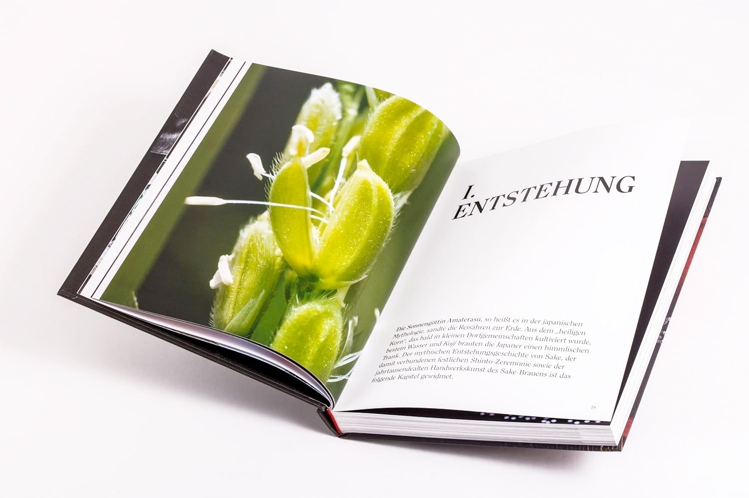 Yoshiko Ueno-Müller Sake book: SAKE: Mythos.Handwerk.Genuss Yoshiko Ueno-Müller Sake book: SAKE: Mythos.Handwerk.Genuss