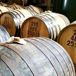 buy Shochu in our shop