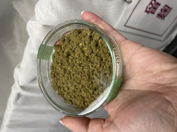 Koji, Umami und traditionelle Sake-Stile