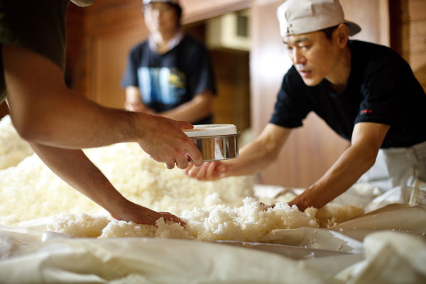 Sake Produktion und Inhaltstoffe