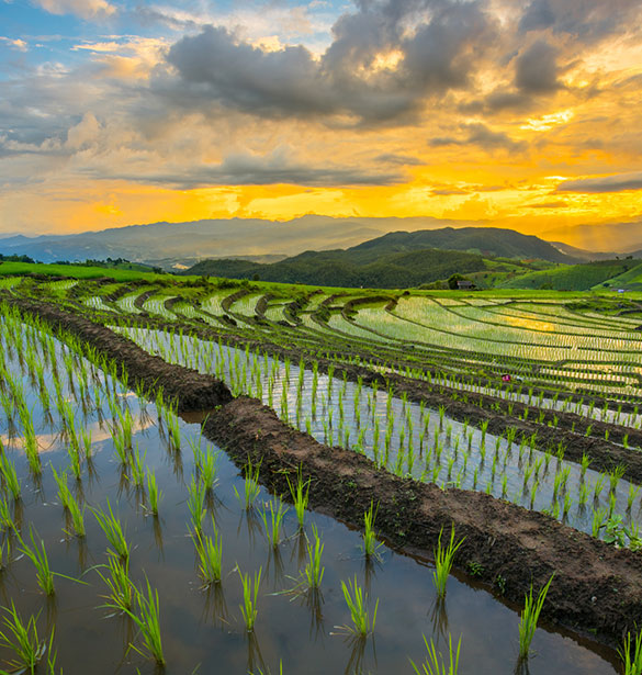 What is a Special District A?