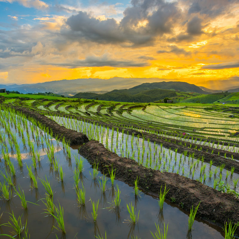 What is a Special District A?