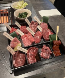 Japanisches BBQ  - Japanisches BBQ - verschiedene Teilstücke zum Grillen 
